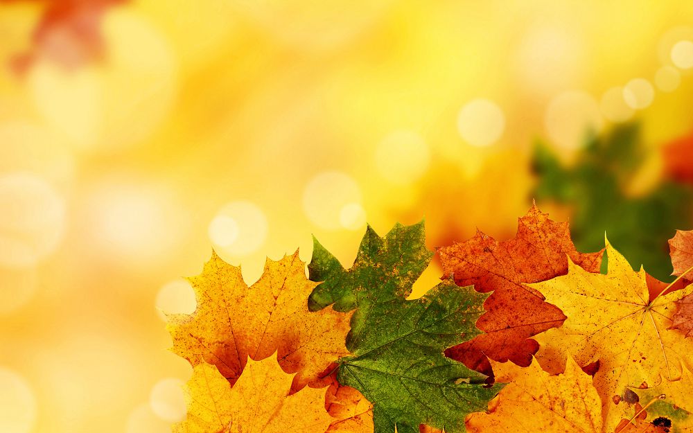 سەنبىگە ارنالعان اۋا-رايى بولجامى