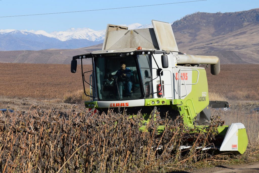 شقو-دا مايلى داقىلداردى وڭدەۋ زاۋىتى سالىنادى