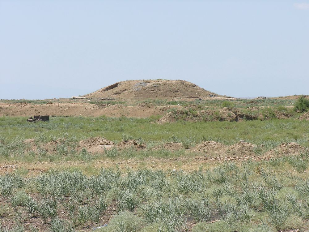 تاڭىرقازعان, بورىقازعان تۋرالى نە بىلەمىز؟