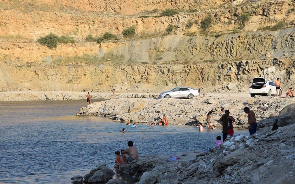 يندەر كولدەرى: قاۋىپ پە, شيپا ما؟