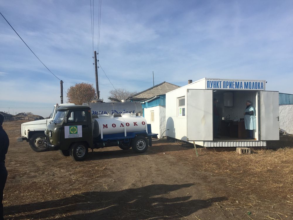 زەرەندىدە كووپەراتيۆ زاۋىتتارعا 500 توننا ءسۇت تاپسىردى