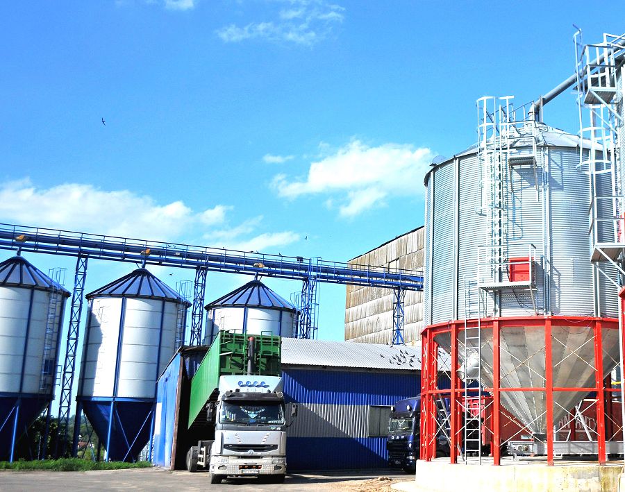 استىق قامبادا, بىراق ديقان كوڭىلى كۇپتى