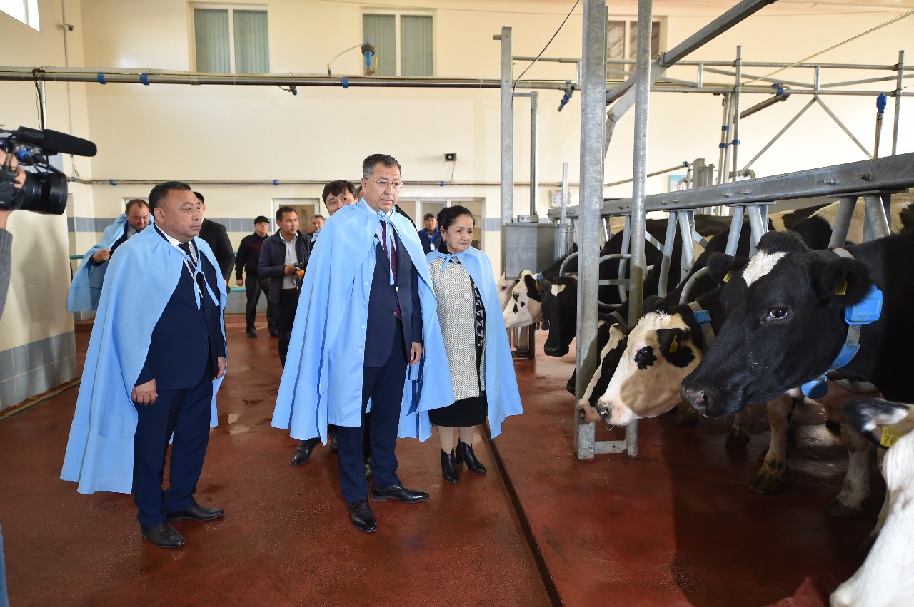 سارىاعاشتىق شارۋالار قايتا وڭدەۋ ءىسىن جانداندىرا باستادى