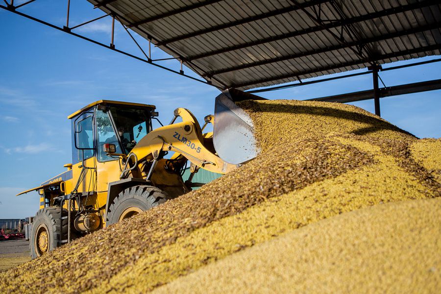 شارۋالار استىقتارىن ەلەۆاتورلارعا وتكىزە الماي جاتىر