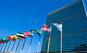 ىستانبۇلدا بۇۇ دامۋ باعدارلاماسىنىڭ ۇيىمداستىرۋىمەن كونفەرەنتسيا باستالدى 
