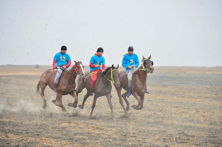 اتىراۋدا وتكەن جاپپاي كوكپار تۋرنيرىنە 200-دەن استام جۇيرىك ات قاتىستى
