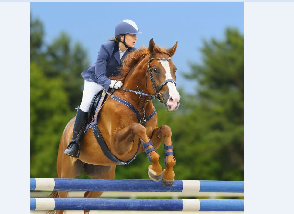 نەمىس تۇلپارى تەمىردەن جاراتىلعان با؟