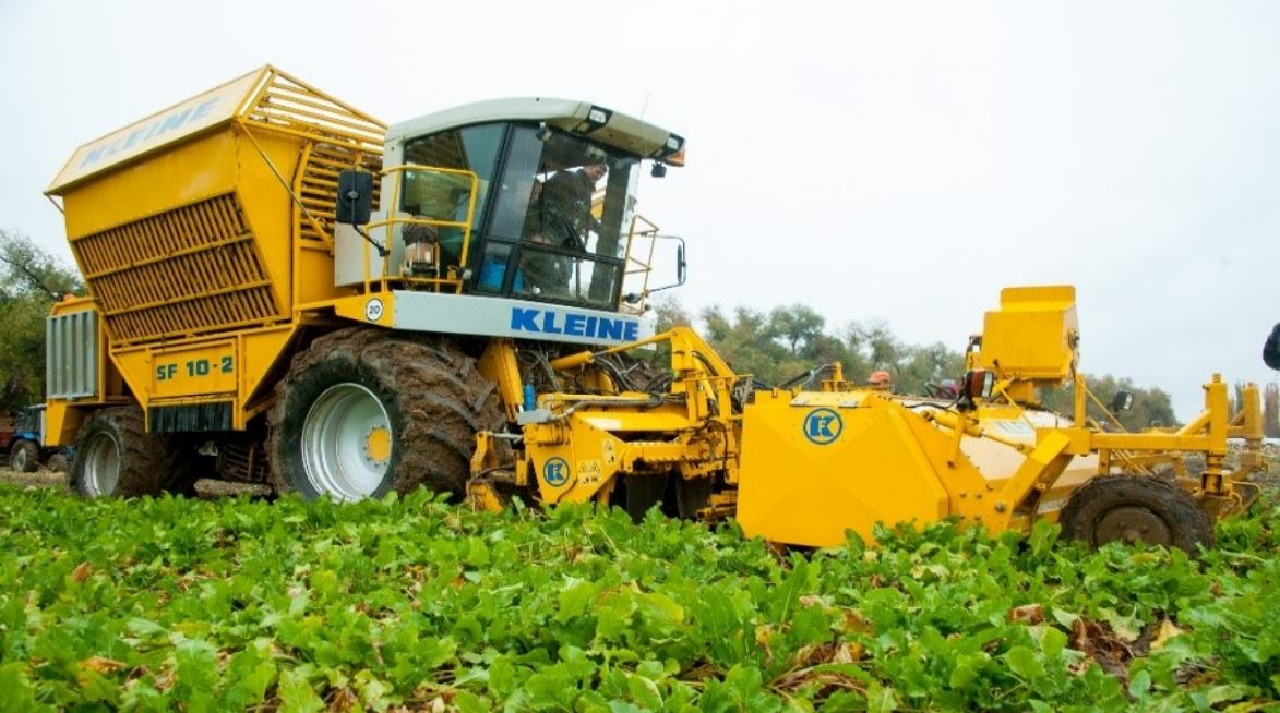 الماتى وبلىسىندا ونەركاسىپتىڭ ءوسىمى 4,3 پايىزعا جەتتى