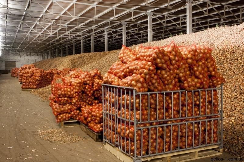 وقو-دا الەۋمەتتىك بازارلار اشىلماق