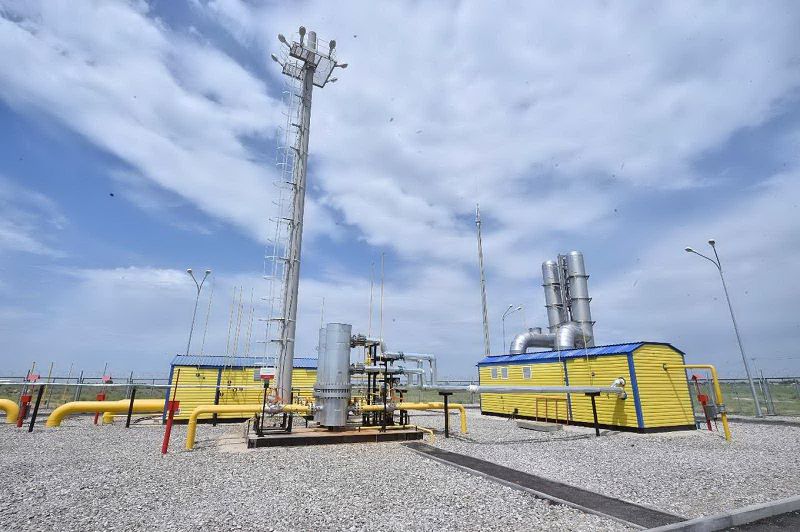 نەمقۇرايلىقتىڭ زاردابى