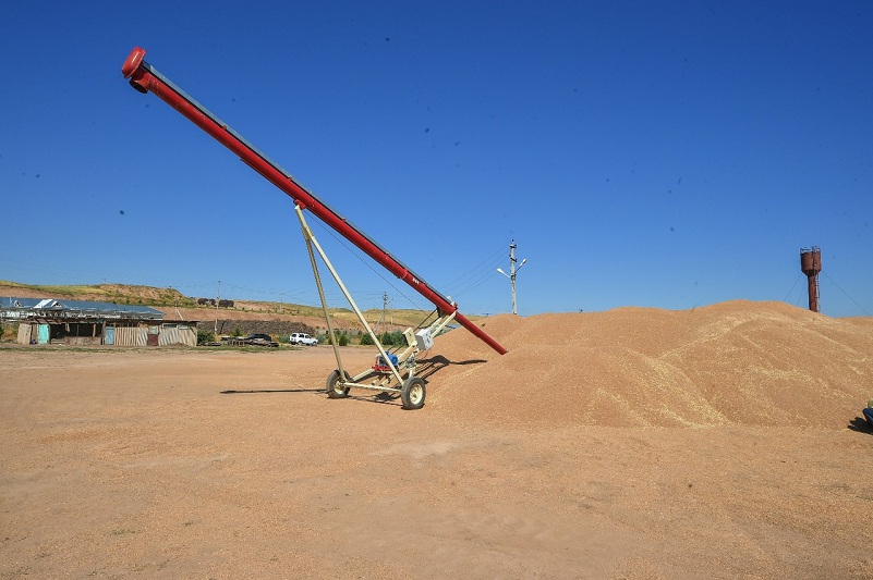 وقو ديقاندارى 600 مىڭ تونناعا جۋىق ءداندى داقىل جينادى