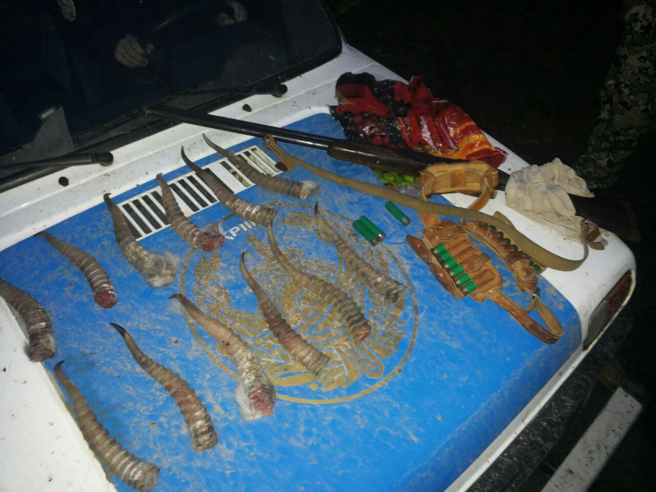 بقو-دا اقبوكەن اۋلاۋشىلار كوبەيدى