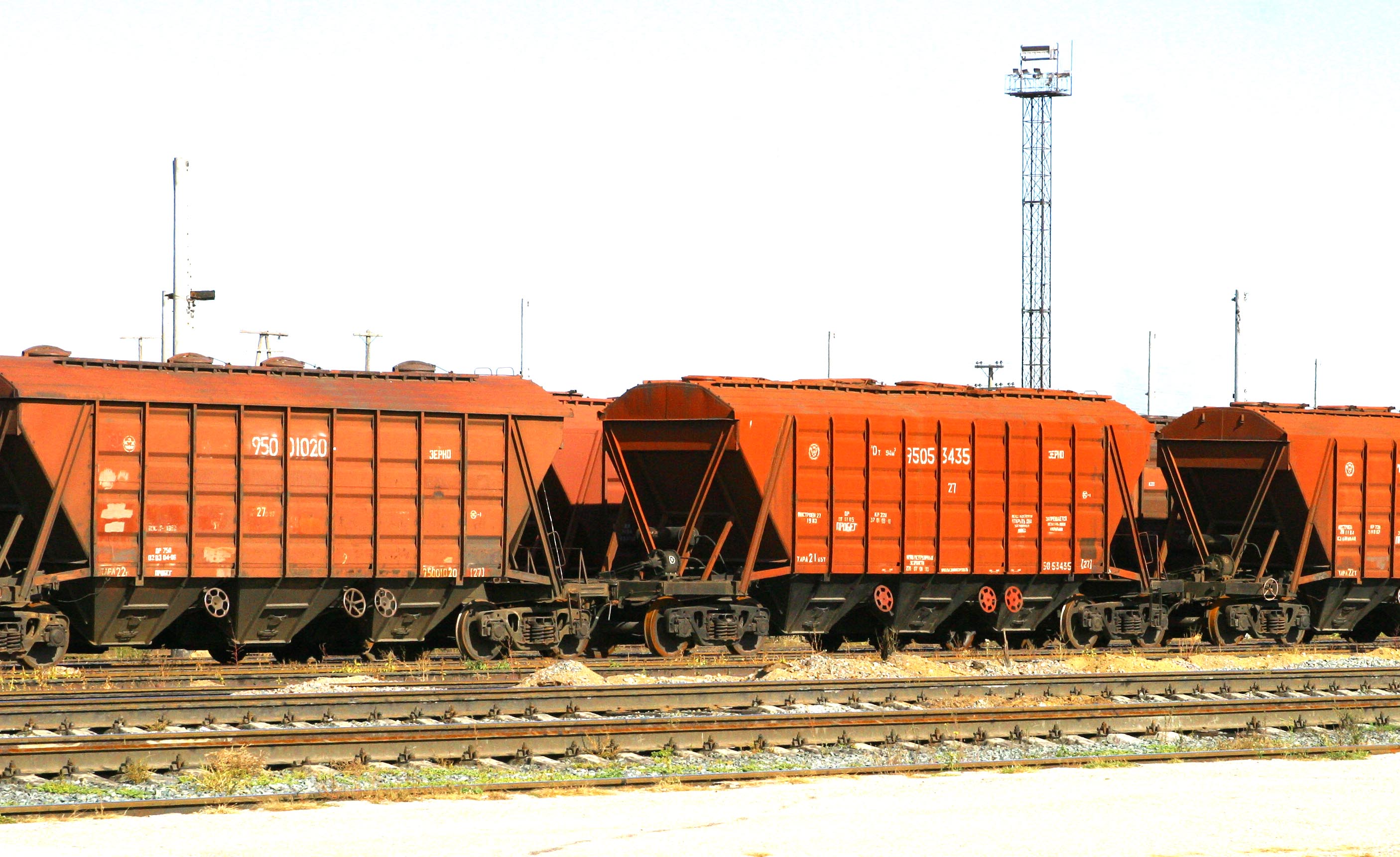 قازاقستان تەمىرجولىندا استىق باعدارى اشىلدى