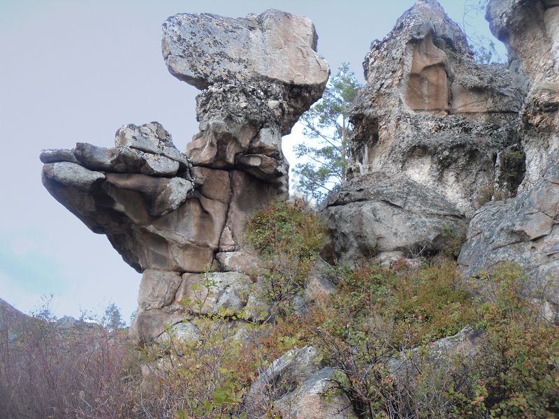 كۇشىك تاس (فوتو)