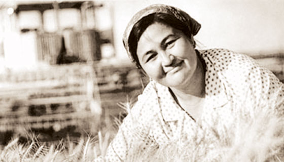 قازاقتىڭ كامشاتى دا ءوتتى ومىردەن