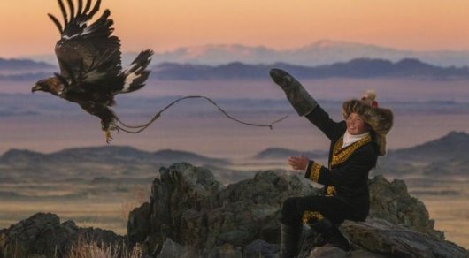 بۇركىتشى ايشولپاندى گارۆارد جانە وكسفورد ۋنيۆەرسيتەتتەرى وقۋعا شاقىردى