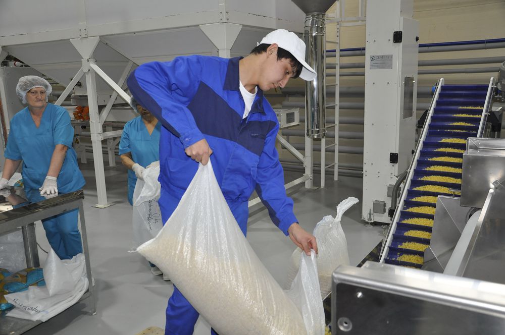 استانادا «سوعىمعا دايىندىق» جوباسى قولعا الىندى