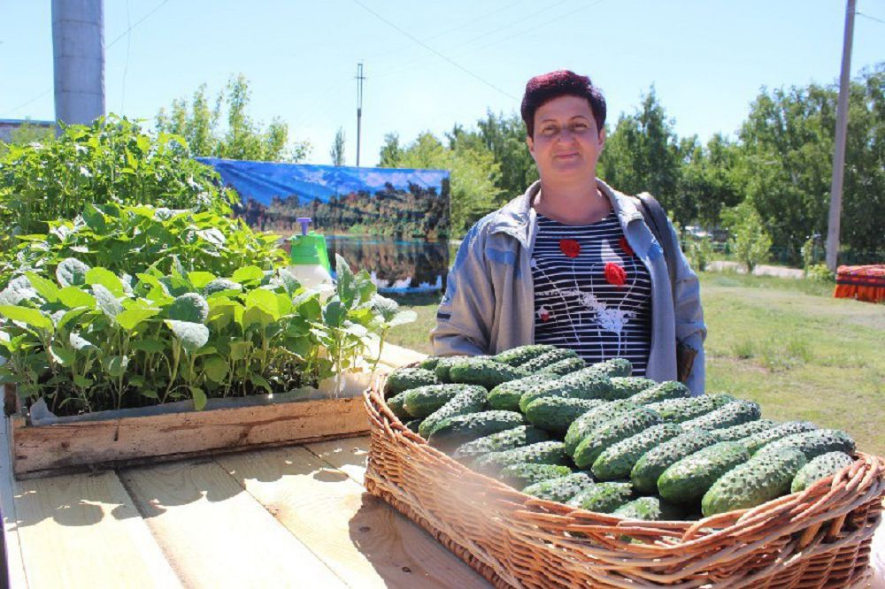 قياردى برەندكە اينالدىرعان اۋىل