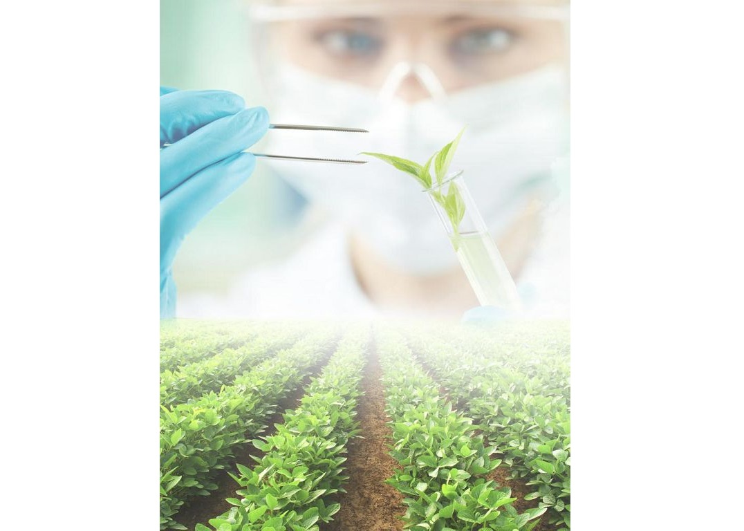 اگرارلىق عىلىمنىڭ جايى الاڭداتادى