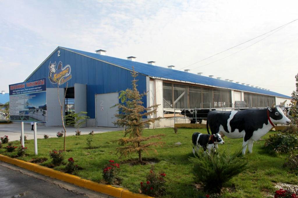 «بورتە-ميلكادا» سيىردى روبوتتار ساۋادى