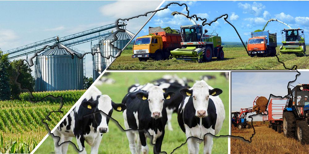 اگرارلىق سالانى دامىتۋ كارتالارى حالىقتى ارزان ازىق-ت ۇلىكپەن قامتاماسىز ەتە الا ما؟