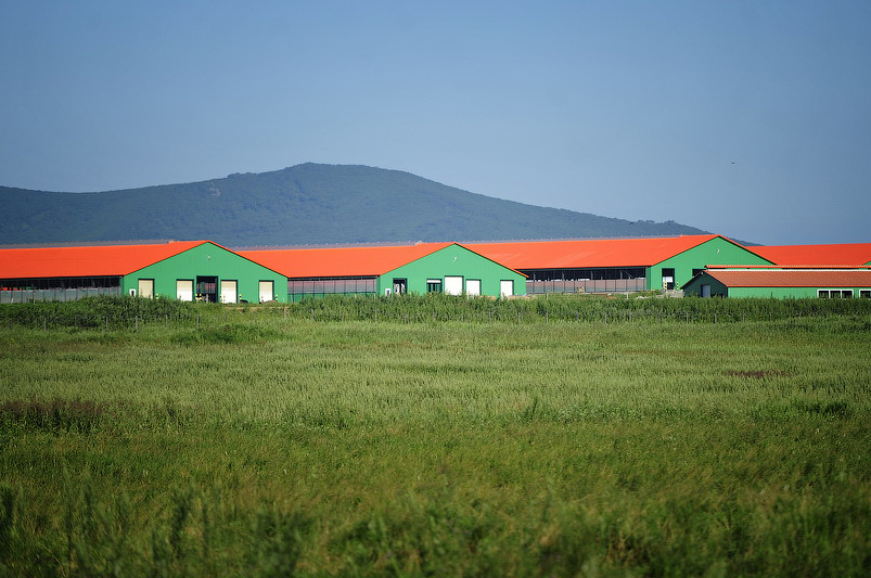 اگروونەركاسىپتىك كەشەندى دامىتۋ باعدا­ر­لا­ما­سى بويىنشا وڭىرلىك جوبالار قولعا الىنۋدا