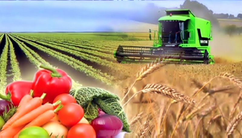 ايقىن اگرارلىق ساياسات قاجەت