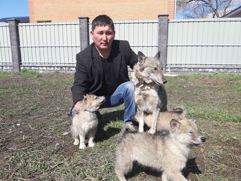 ارلان اسىراعان ايدىن