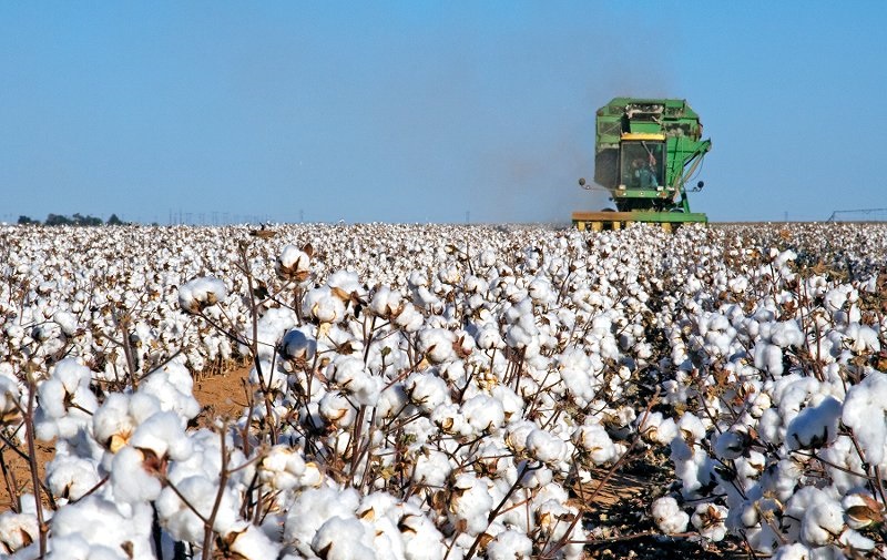 وڭتۇستىكتىڭ ماقتاسى ون ەلگە ەكسپورتتالۋدا