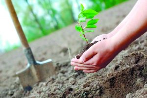 «ارۋ الماتىعا – 1001 جاسىل كوشەت» اكتسياسى ءوتتى