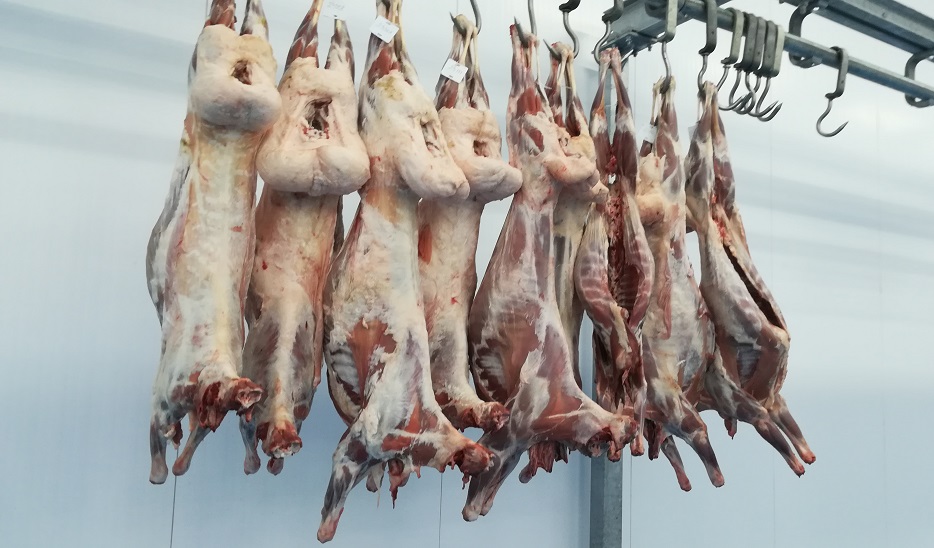 يران قازاقستاننان الاتىن قوي ەتى كولەمىن سەگىز ەسەگە ۇلعايتتى