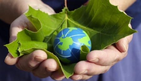 قاۋىمداستىق قۇرىلدى