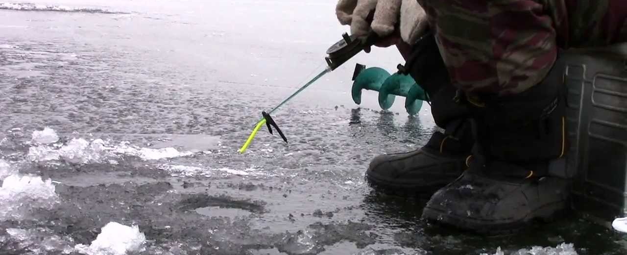 قالا بيلىگى قىس باسىندا بالىق اۋلاۋدىڭ قاۋىپتى ەكەنىن ەسكەرتەدى