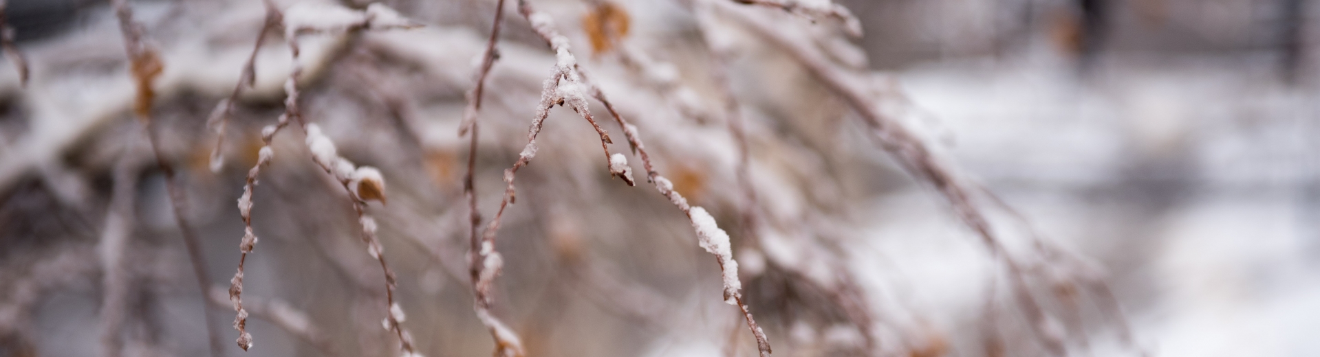 سينوپتيكتەر: استانادا مۇنداي قارسىز قىس جەتى جىل بۇرىن بولعان