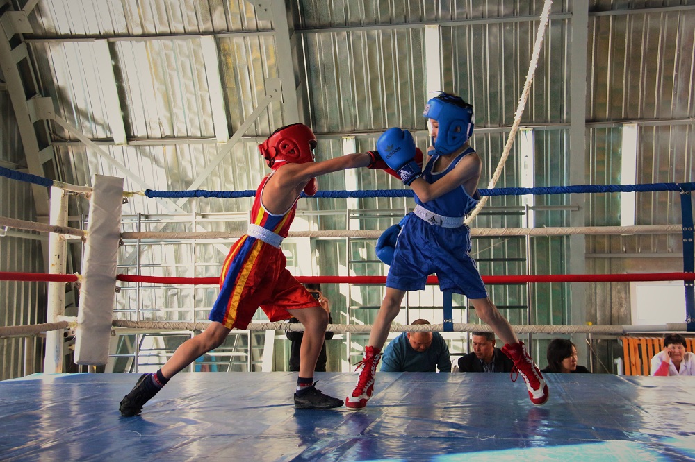 شقو-دا جاسوسپىرىمدەر اراسىندا بوكستان تۋرنير باستالدى