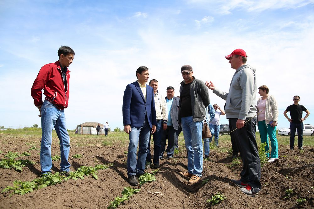 بوس جاتقان جەر تەلىمى قايتارىلدى