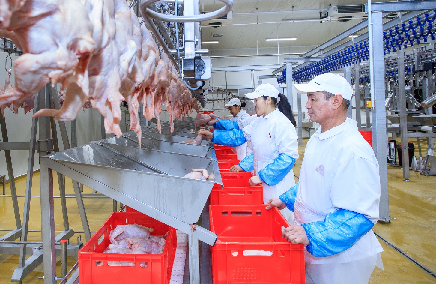 باتىس قازاقستان وبلىسىندا جاڭا قۇس فابريكاسى ىسكە قوسىلدى