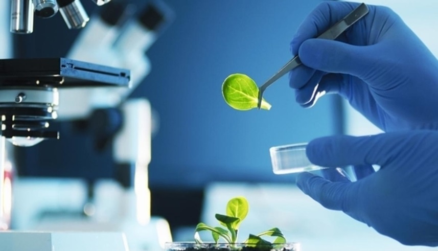 ۇيرەتەرىمىز دە بار, ۇيرەنەرىمىز دە از ەمەس