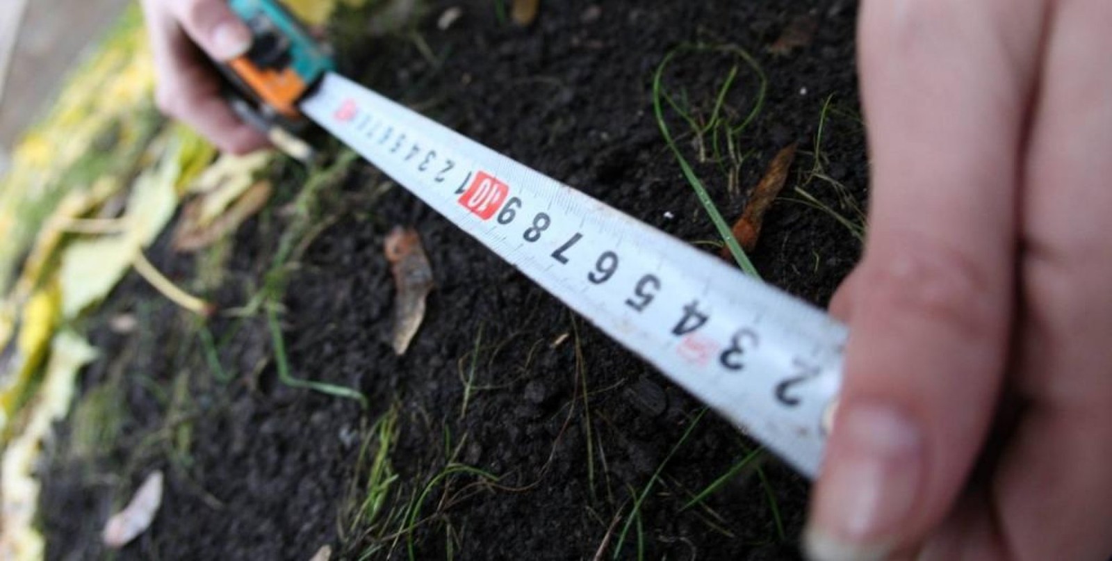 شىمكەنتتە 588,8 گەكتار جەر تەلىمى مەملەكەتكە قايتارىلدى