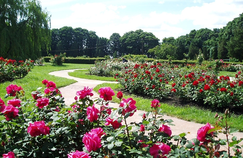 ەلورداداعى بوتانيكالىق باقتىڭ قۇرىلىسى كەلەر جىلدىڭ جازىندا اياقتالادى