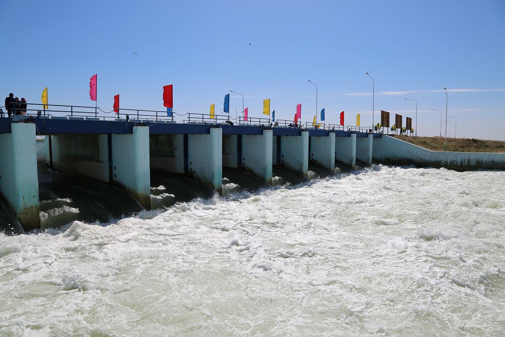 كوسەگەمىزدى كوگەرتكەن كوكارال