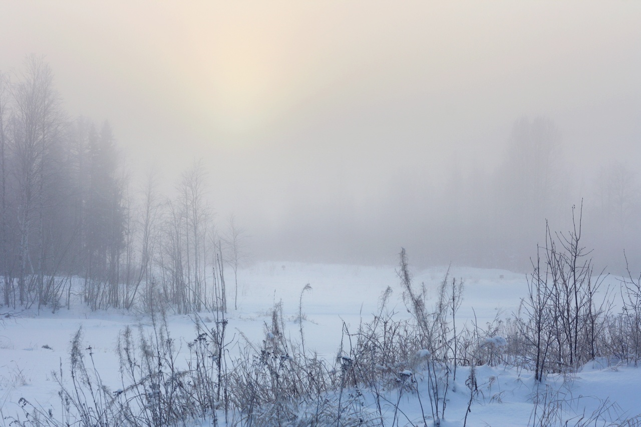 ەلىمىزدىڭ كەي جەرلەرىندە جەل كۇشەيەدى