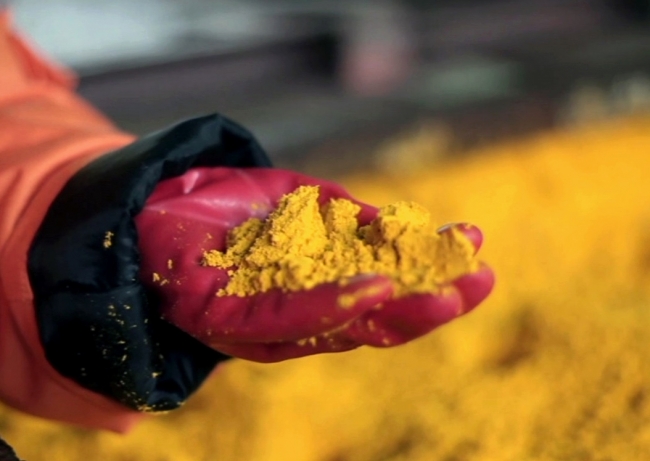 الداعى ءۇش جىلدا ۋران ءوندىرىسى 20 پايىزعا قىسقارماق