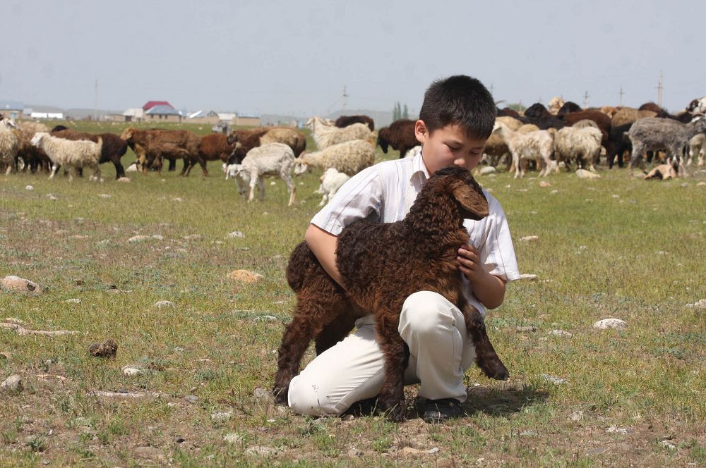 قازاق – قاشاندا قازاق! (25.12.2017)