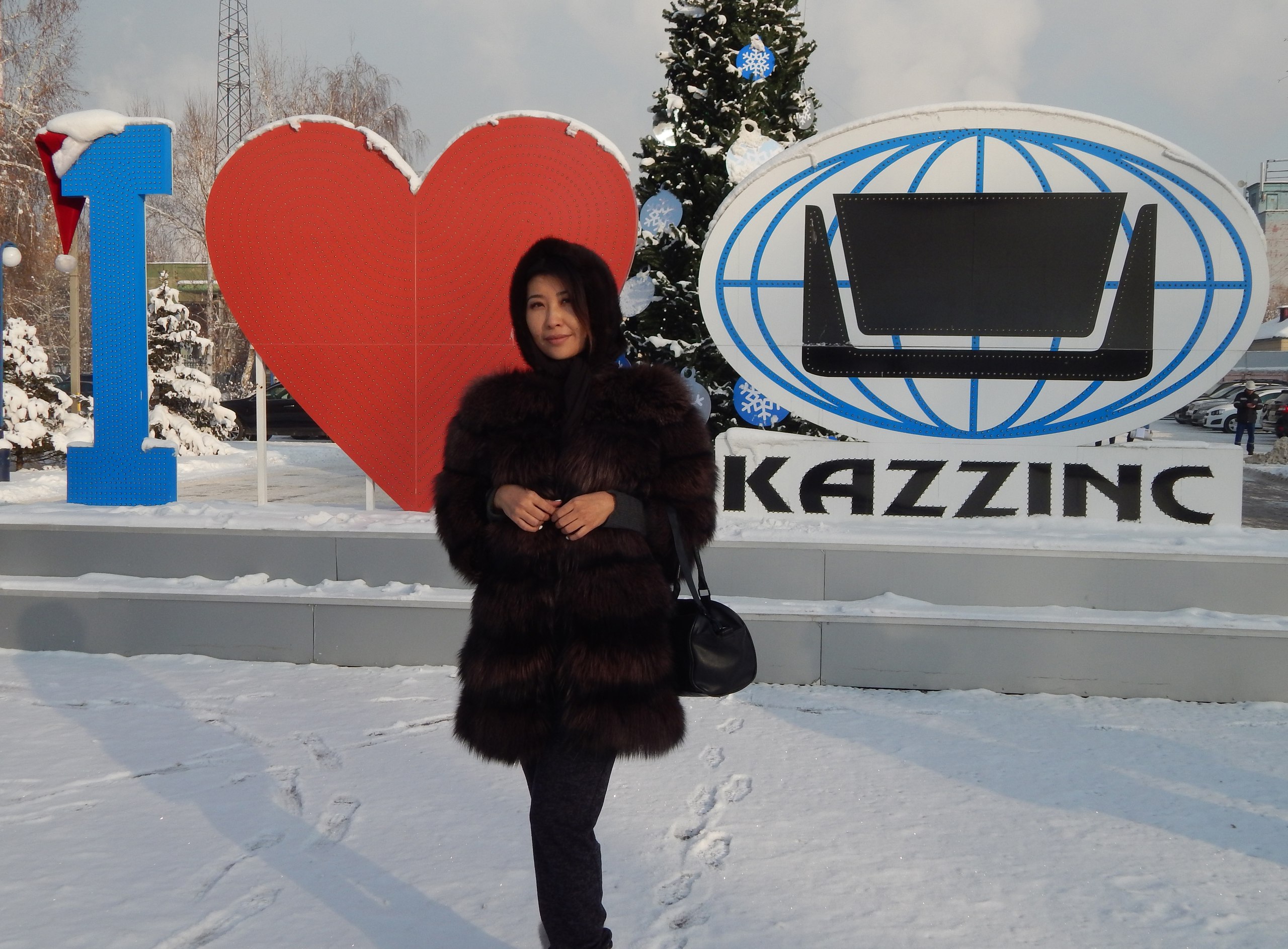 پەريزاتتىڭ ەمىنە 1 جارىم ميلليون تەڭگە قارجى ءبولدى