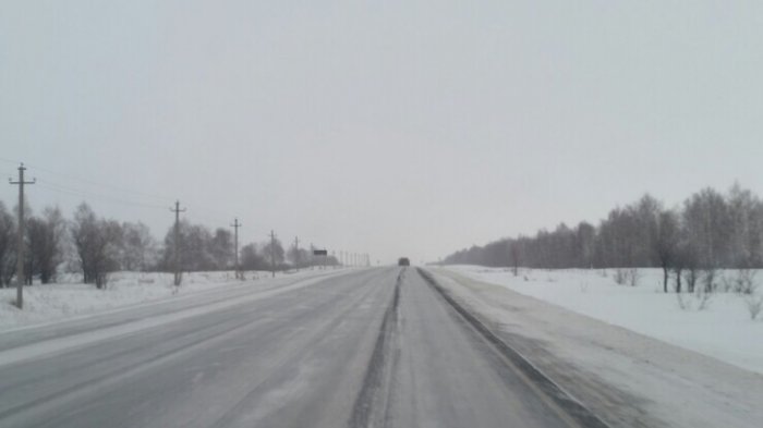 قاراعاندى وبلىسىندا جولدار جابىلدى