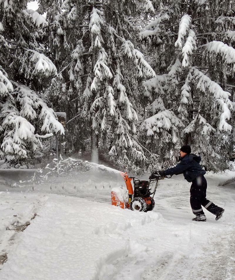 الماتىعا قىس ءتۇستى...