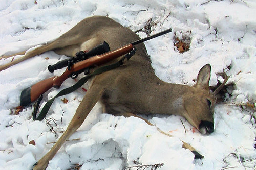 قوستانايدا ەلىك اتقاندار ۇستالدى