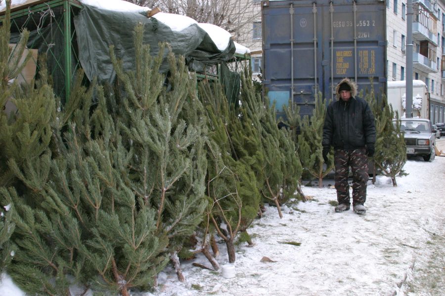 قوستانايدا «شىرشا» جەدەل-پروفيلاكتيكالىق اكتسياسى ءجۇرىپ جاتىر