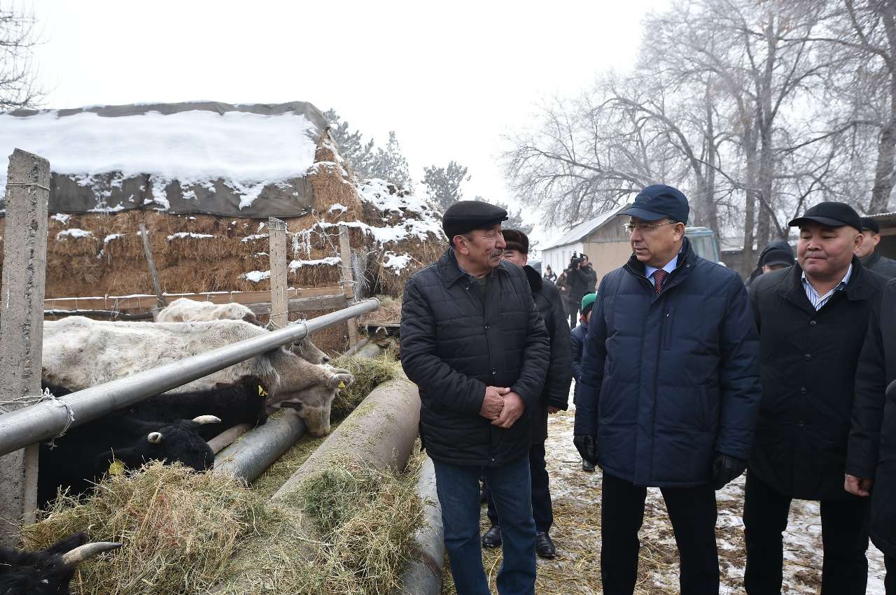 ج.تۇيمەباەۆ جۇمىس ساپارىمەن ارىس قالاسى, سانالى اۋىلىنا بوردى